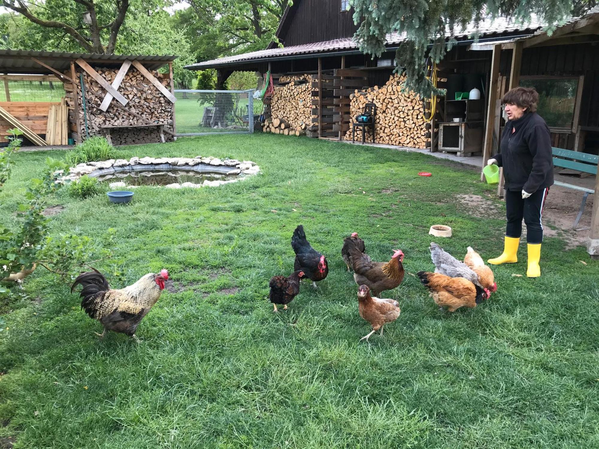 Ferienwohnung Landlust Neudrossenfeld 外观 照片